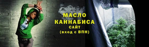 дживик Володарск