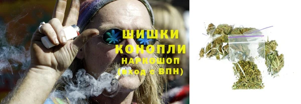 дживик Володарск