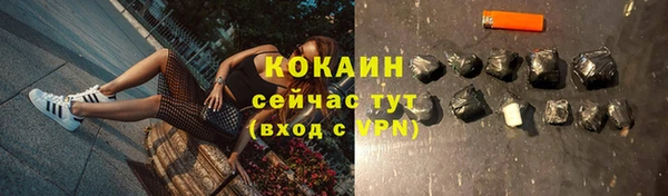 дживик Володарск