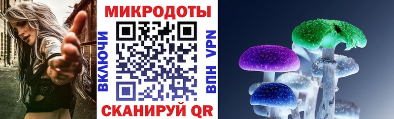 Псилоцибиновые грибы Psilocybine cubensis  купить   кракен tor  Юхнов 